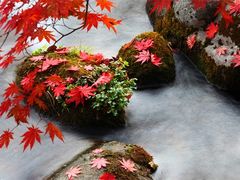 -丹东天桥沟景区