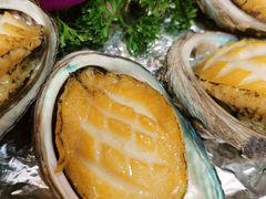 -新世纪大酒楼·30年南海菜