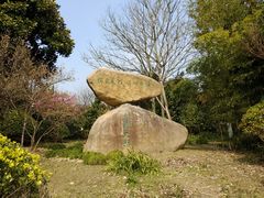 -老七宝热气羊肉馆