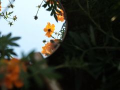 -映月湖中央公园