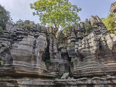 -梭布垭石林景区