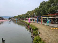 -苏州太湖西山岛开心农场