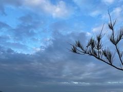 -那琴半岛地质海洋公园