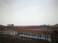 -红海滩国家风景廊道