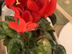 -永泰福朋喜来登酒店-宜客乐自助餐厅(远大路店)