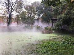 -东湖落雁景区