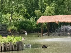 -溱湖国家湿地公园