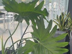 -时间仓(月湖公园店)