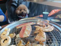 -四斤烤肉(东戴河孟家店)