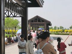 -南大港湿地风景区