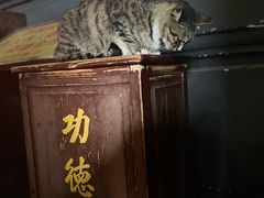 -西园戒幢律寺