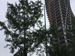 -百林公园-两江幸福广场
