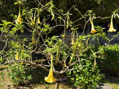 -天龙八部武侠城