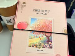 -潘祥记鲜花饼(昆明长水国际机场店)