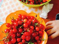 -崂山风景区-大河东游客中心