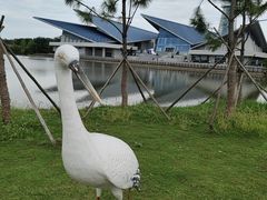 -盐城丹顶鹤湿地生态旅游区