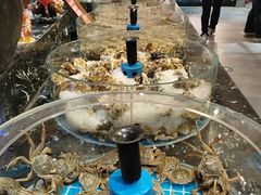 -汉江山料理级自助烤肉黑金冠(周口好吃城店)
