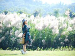 -广西壮族自治区药用植物园