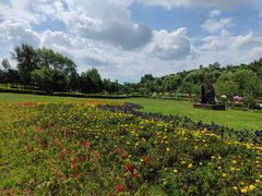 -莫子山公园