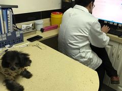 -安安宠医·安宠宠物医院