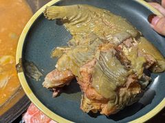 -肥鱼屯活鱼锅(惠工街店)