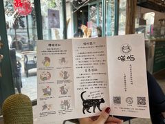 -喵屿·大理花园猫咖