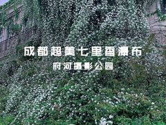 -府河摄影公园