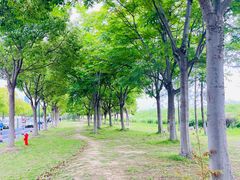 -苏州湾体育公园