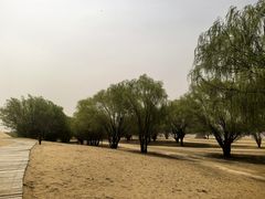 -黄沙古渡原生态旅游区