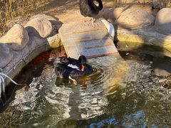 -北京市海淀外国语实验学校