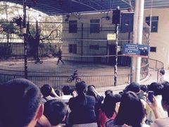 -广东茂名森林公园