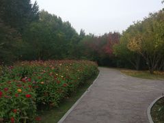 -长春公园(普阳街道)