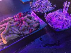 -vimi便利店酒吧