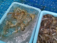 -天天鱼港·海鲜·鲅鱼水饺·招牌烤鸭(黄骅店)