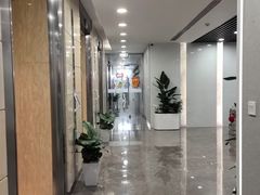 -谢冬律师团队·专注离婚案件·君澜律所