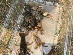 -春花秋色城市公园