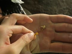 -杨婆婆烤肉(文昌阁店)