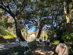 -广州市流溪河国家森林公园