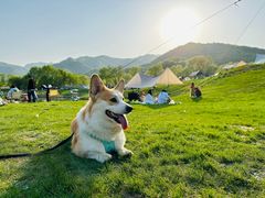 -玉渡山自然风景区