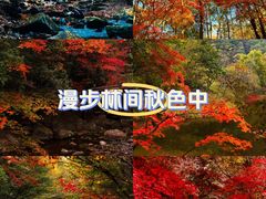 -本溪老边沟风景区