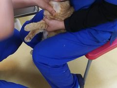 -芭比堂动物医院·犬猫全科·异宠专科(雁塔分院)