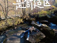 -茅兰沟国家森林公园