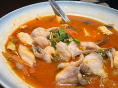 -花菇朵·云山雀 ll 野生菌火锅·精品云南菜(万柳店)