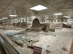-古车博物馆