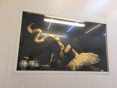 -巷子深菜馆(新华路店)