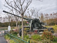 -上海长兴岛郊野公园