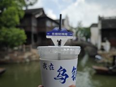 -乌镇东栅景区