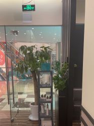 -史云逊养发护发