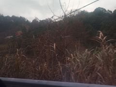 -大别山南武当滑雪场