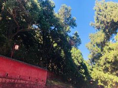 -七曲山风景区
